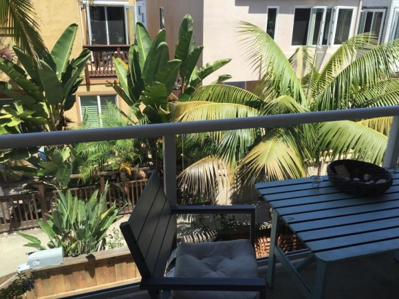 11885080_1475941012724054_54927156809732851_n