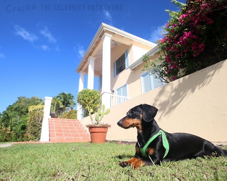 crusoe at the great house st lucia