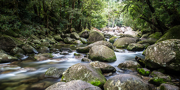 comm685_600x300_tropical_australia2