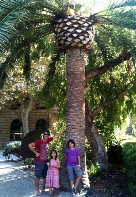 Palma de Mallorca jardin