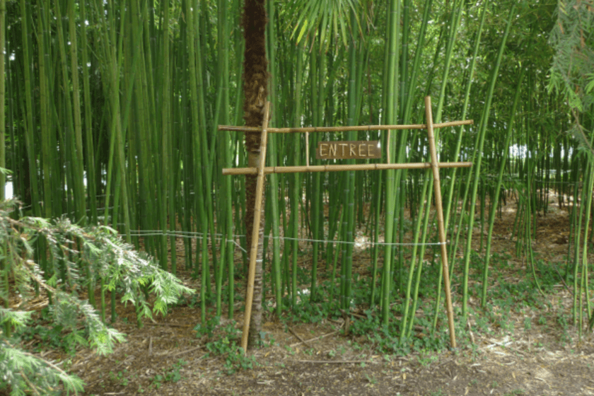 Que-faire-vacances-Gers-Famille-labyrinthe-bambous