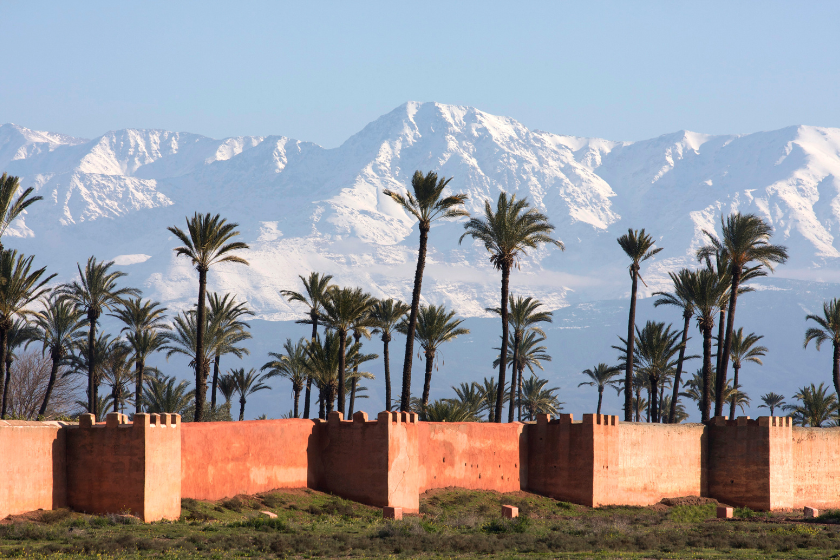Palm trees in Morocco. Best affordable family vacations.