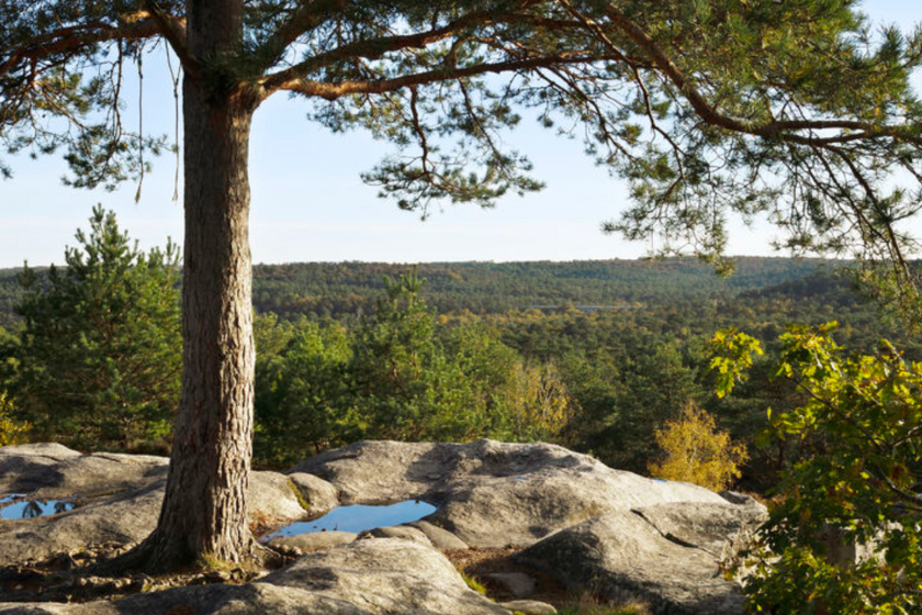 Randonnées Ile de France sentier des Belvédères
