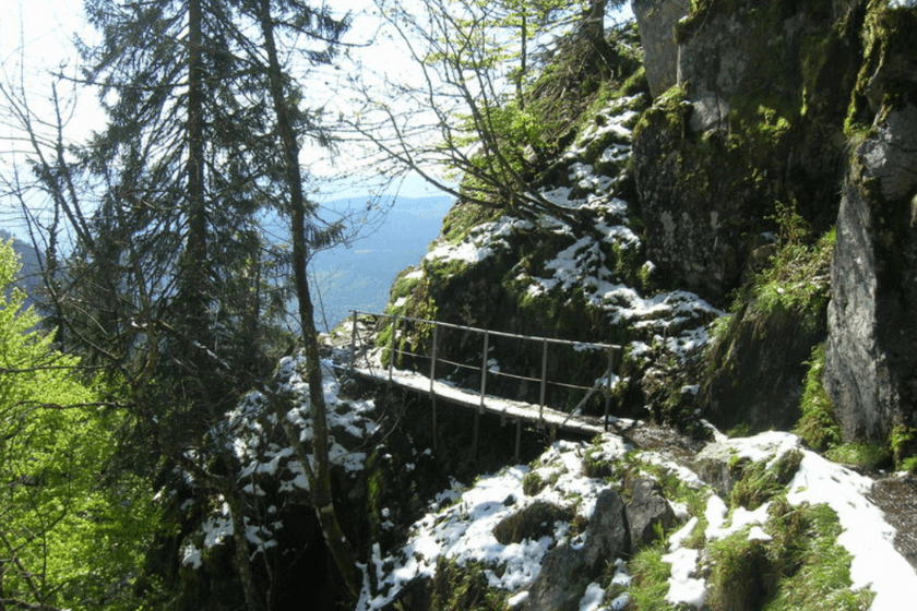 Randonnées Vosges sentier du Hohneck