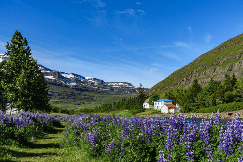 Voyage en Islande pas cher choisir la bonne saison