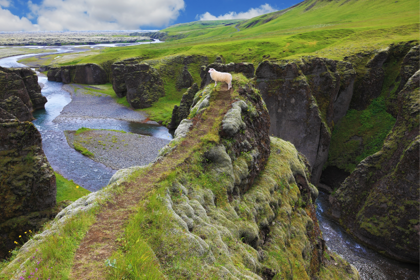 Voyage en Islande pas cher échange de maisons explorer la nature
