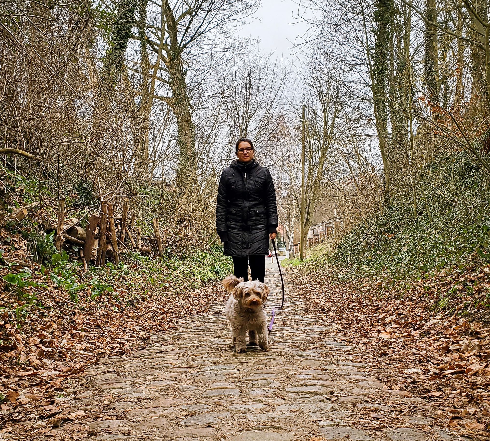 HomeExchange avec animaux de compagnie à Alsemberg