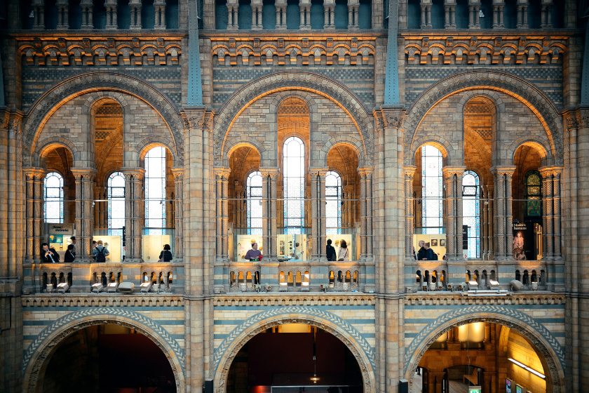 Week-end à Londres : visiter le Musée d'Histoire naturelle de Londres