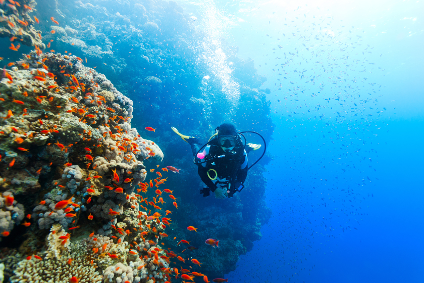 Practicar buceo fuera de temporada