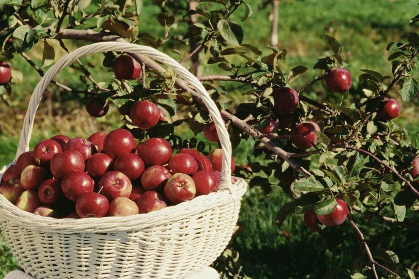 fin de semaine gourmande dans les Cantons de l'Est