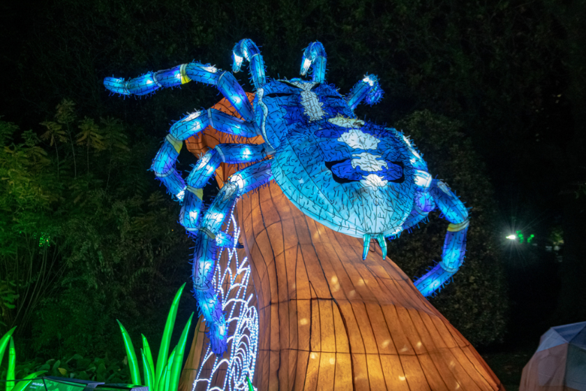 Noël 2024 à Paris : top 10 des meilleures animations et activités Jardin des Plantes illuminé