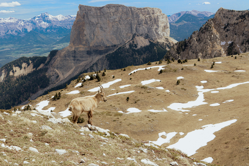 vacances d’été à la montagne en famille