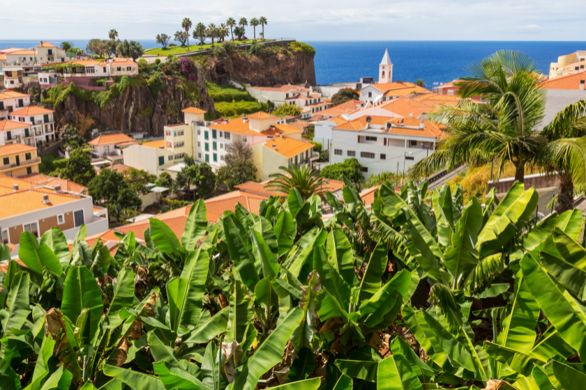 Pays à visiter en janvier Madère