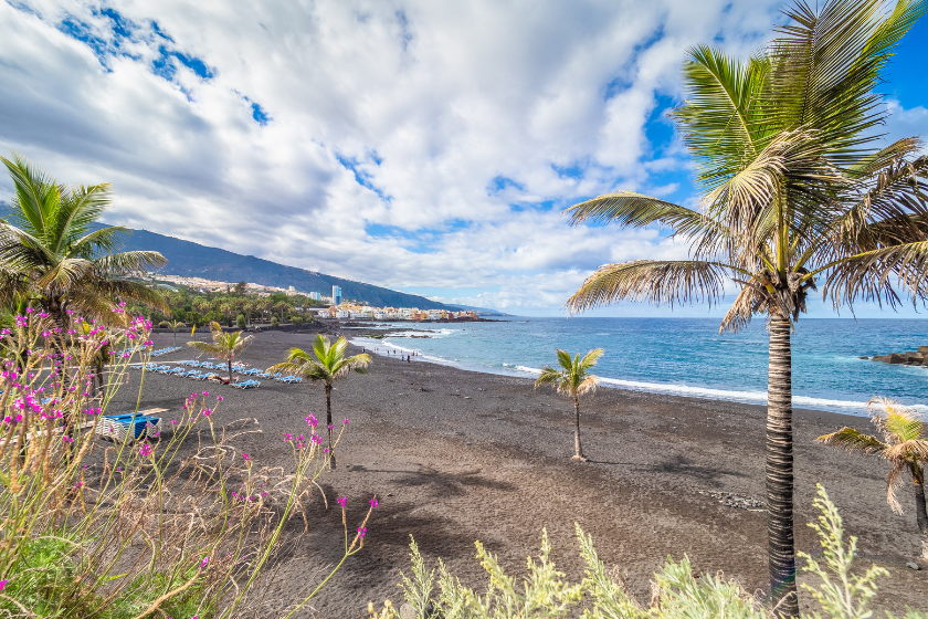 Que faire à Tenerife en novembre Playa jardin