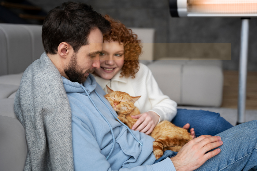 gardiennage chat autour de moi