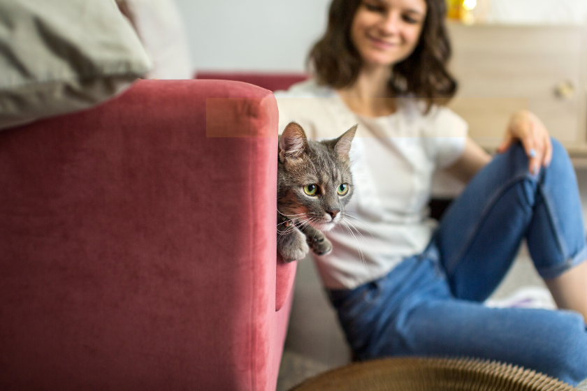 gardiennage de maisons