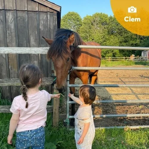 HomeExchange-pet-sitting-family