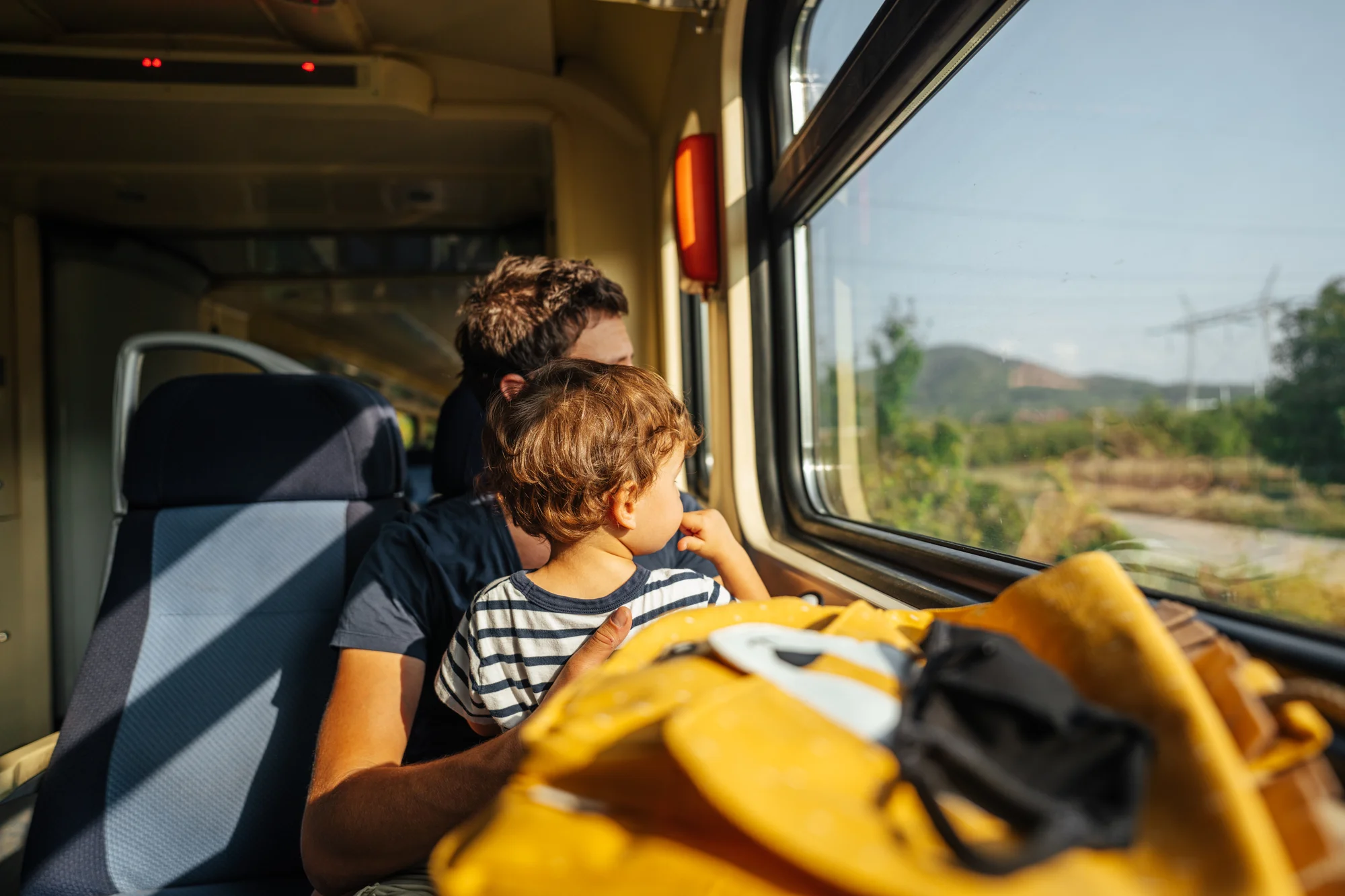 image article "Les trains les plus pittoresques de France"