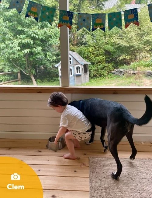 HomeExchange-pet-sitting-time