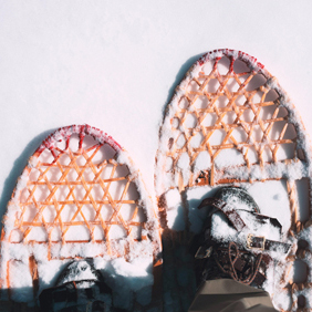 &eacute;change de maison t&eacute;moignage