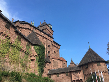 Le château du Haut Koenigsbourg, la montagne des singes et la volerie des aigles