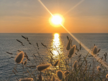 &eacute;change de maison pratique