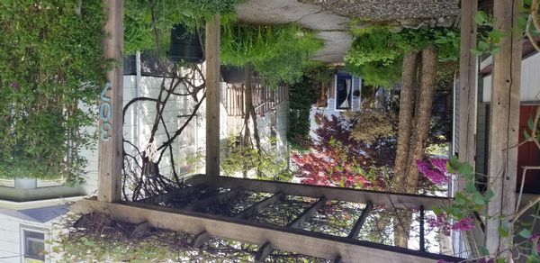 La maison de Richard