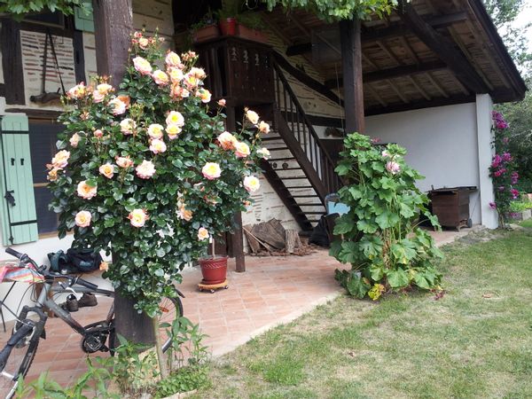 Chaleureuse maison paysanne avec piscine, à proximité d'un petit ruisseau, à 1h de Bordeaux.