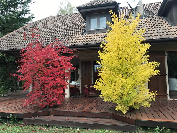 La maison de Rosy & Melissa