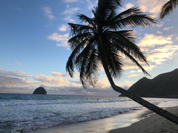 Hospitalité: Tout à Pied au Diamant – Plage, Marché, Bus, Détente !