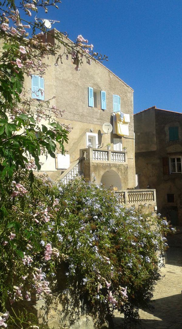 La maison de Monique