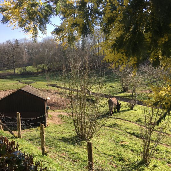 Grande maison dans un site naturel préservé tout près du Mans.