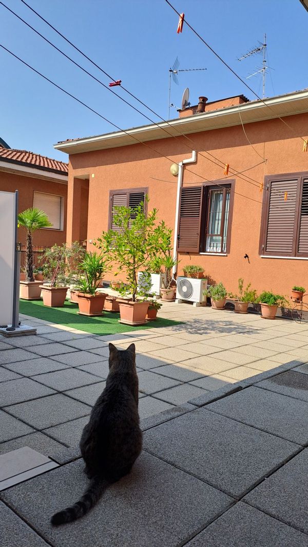 appartement à Sesto San Giovanni, Italy