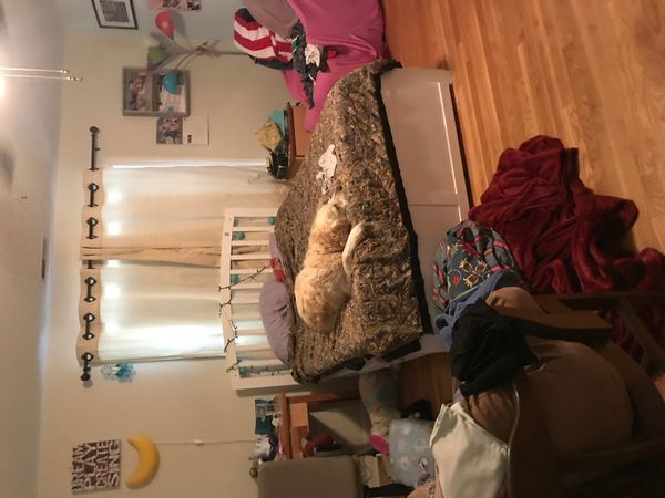 La maison de Steve