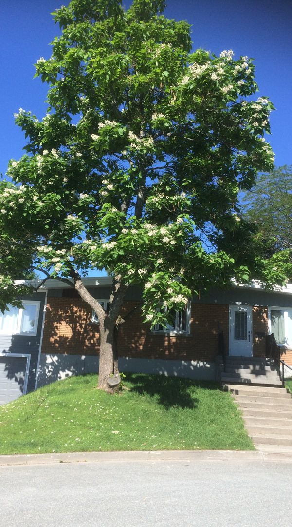 Maison ville avec jardin. Sherbrooke. Réciproque ou points.