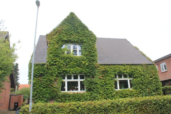 La maison de Steen