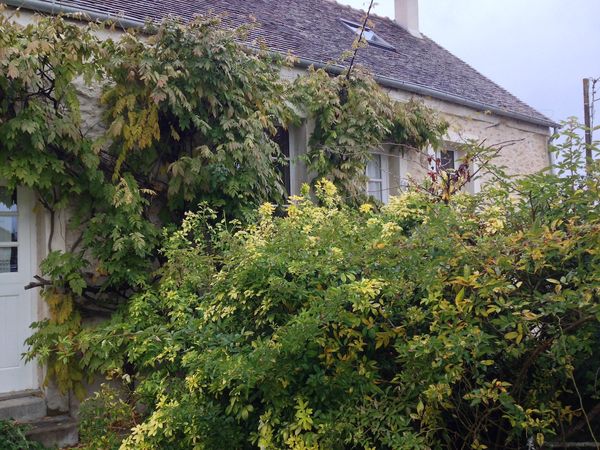 250-yr old village house near Fontainebleau for a maximum of six people.