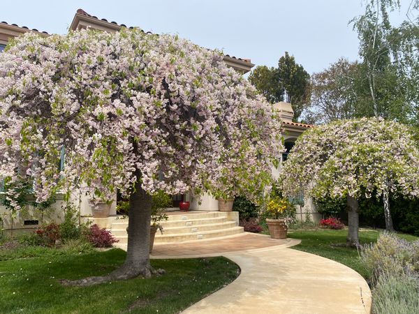 La maison de Melanie