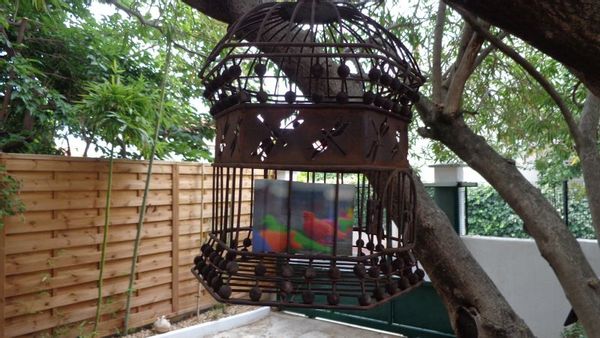 Le studio Cielito Lindo