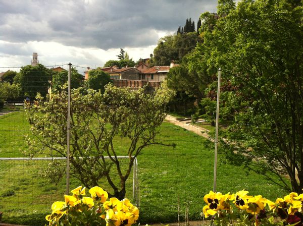 La maison de Carola