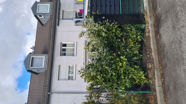 La maison de Andi & Tani