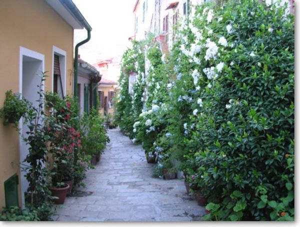 La maison de viviana