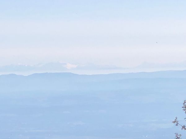 Une maison vosgienne dans la montagne, havre de paix 4 personnes maximum