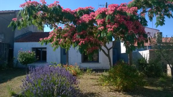 maison de pêcheur de noirmoutier à 150m de la plage