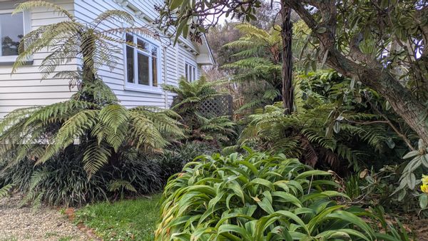 La maison de Eric/Shanti