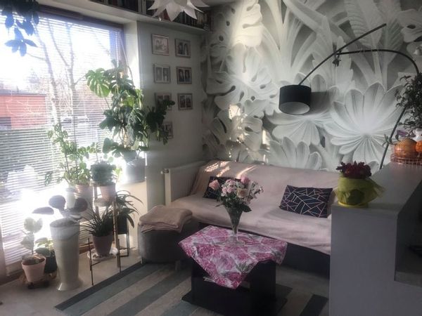 La maison de iwona