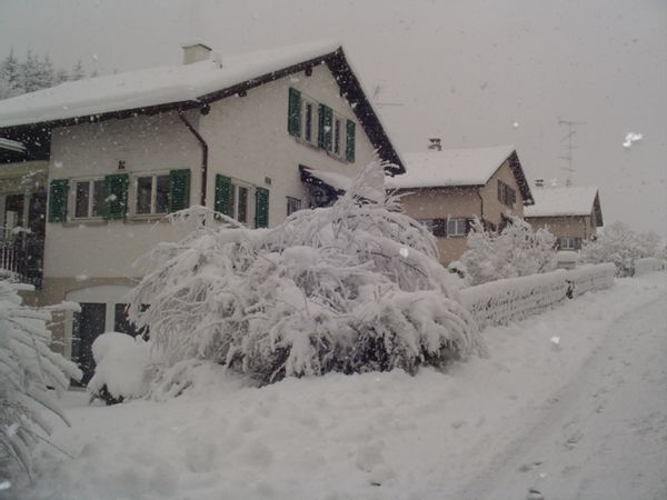 La maison de Stephan
