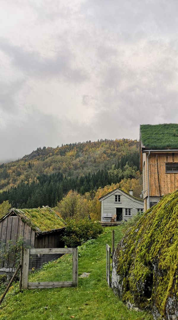 La maison de Trond