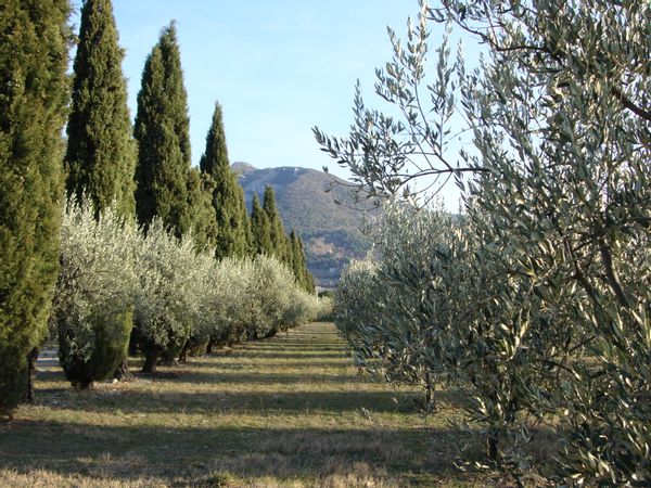 Drôme sweet home en Provence