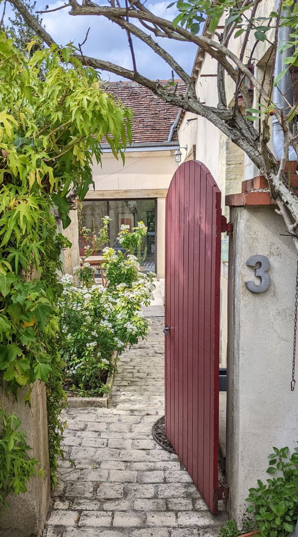 Vignes, chateaux et Loire